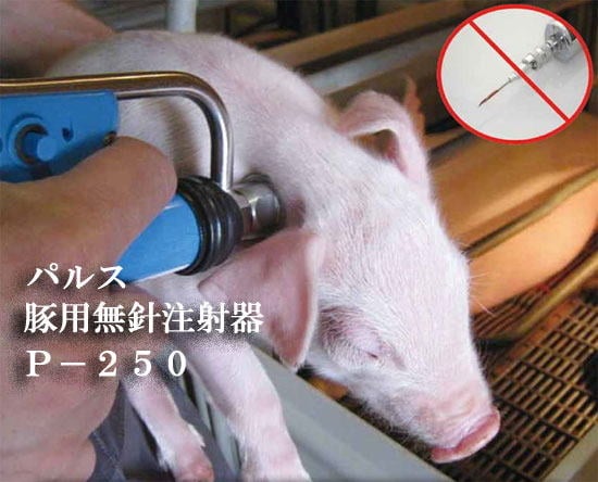 パルス豚用無針注射器 P-250